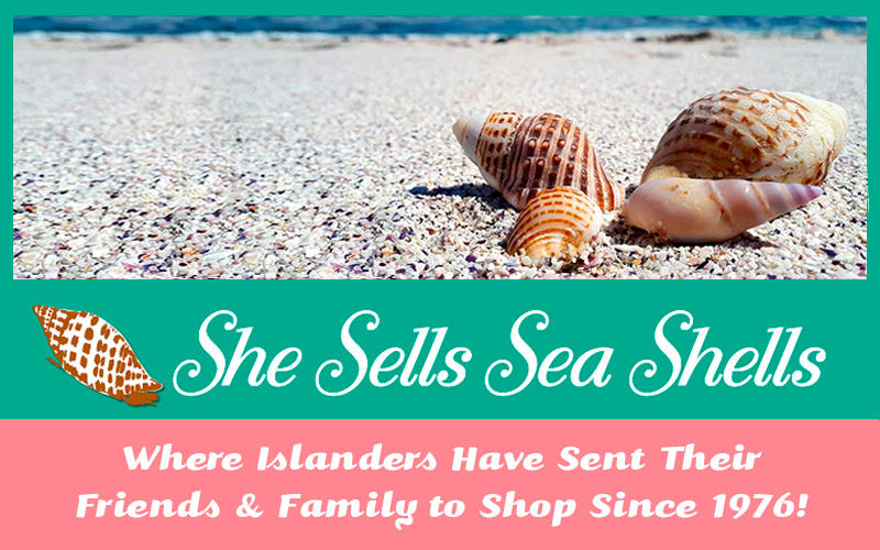 She sells sea shells Art Print